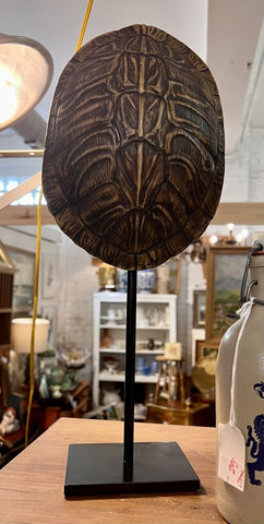 Turtle Shell on stand