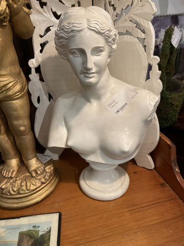 Venus bust