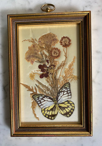 Pressed Flowers and Butterfly Framed W1326
