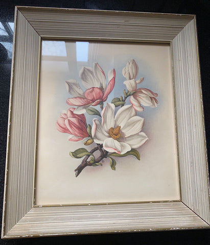 Magnolia Flower Print Framed W1327